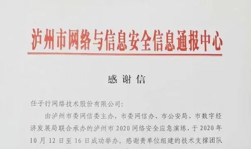 任子行網絡技術股份 以技術創新驅動，引領網絡服務新篇章