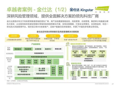 2023年中國資本市場風險管理IT服務市場研究報告 風險管理咨詢服務篇